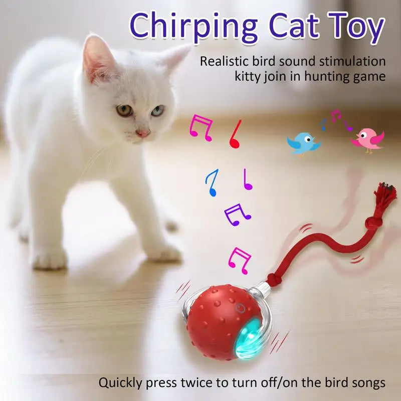Brinquedo Interativo para Gatos – Bola Inteligente com Movimento Automático, Chamado de Pássaro e Carregamento USB
