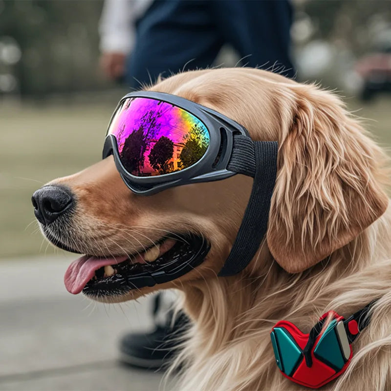 Óculos de Sol Ajustáveis para Cães – Proteção UV e Estilo para Atividades ao Ar Livre!