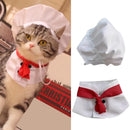 Fantasia de Chef para Pets – Chapéu e Roupa de Cozinheiro Divertida!