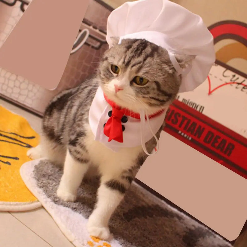 Fantasia de Chef para Pets – Chapéu e Roupa de Cozinheiro Divertida!