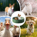 Piscina Dobrável Portátil para Pets – Banho, Diversão e Refresco Garantido!
