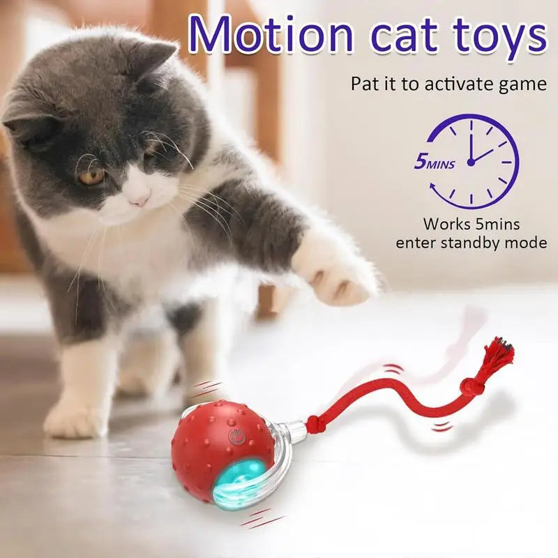 Brinquedo Interativo para Gatos – Bola Inteligente com Movimento Automático, Chamado de Pássaro e Carregamento USB