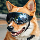 Óculos de Sol Ajustáveis para Cães – Proteção UV e Estilo para Atividades ao Ar Livre!