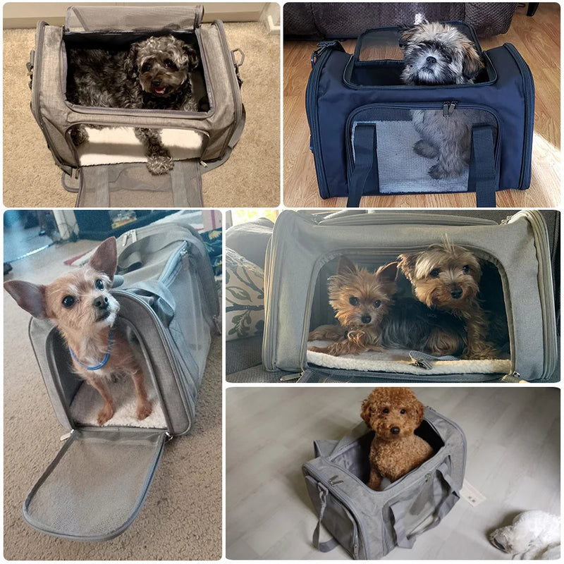 Bolsa Transportadora Soft Side para Pets – Viagem, Avião e Passeios