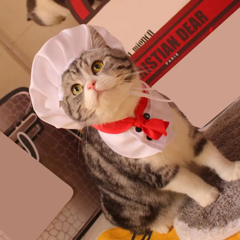 Fantasia de Chef para Pets – Chapéu e Roupa de Cozinheiro Divertida!
