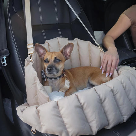 Assento Bolsa de Segurança para Cães Pequenos – Transportadora Portátil para Carro